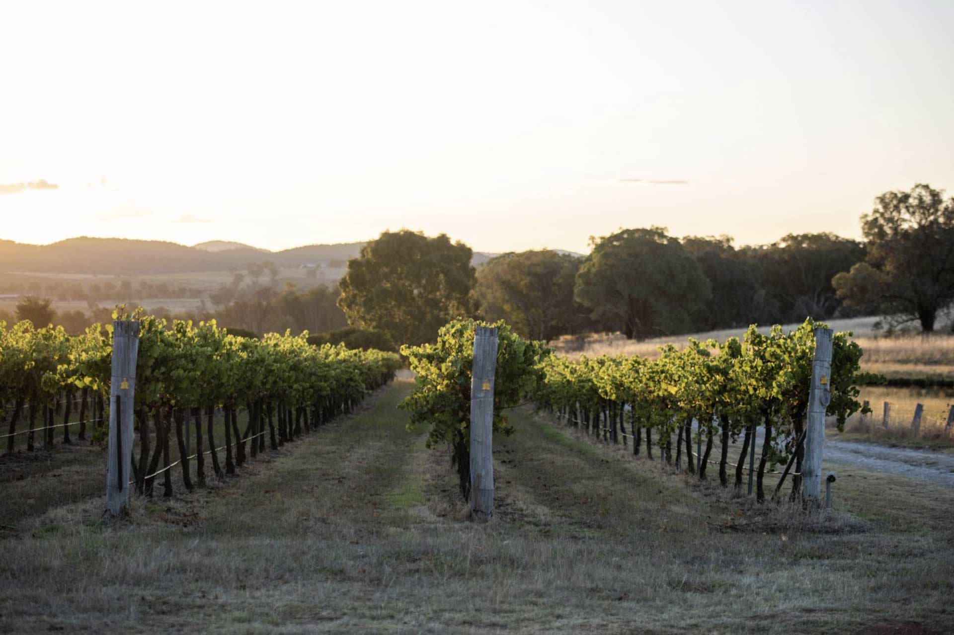 Wineries